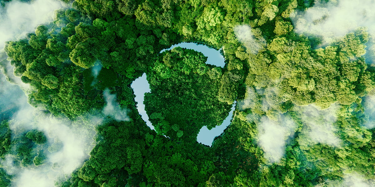 Newsletter do Kasznar Leonardos sobre Selo Verde.